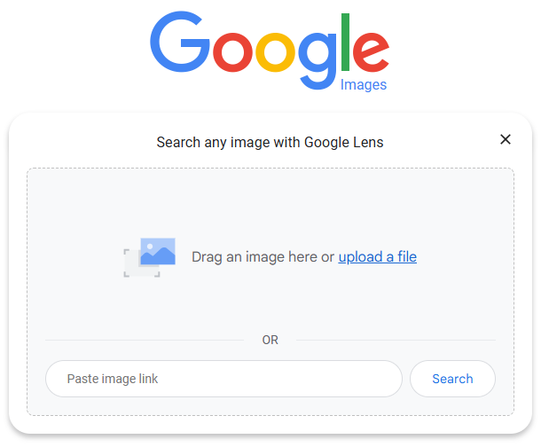 image of Google Image search with drag or upload photo dialog