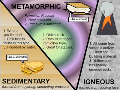 infographic examples for fourth grade