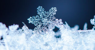 Image of a snowflake crystal