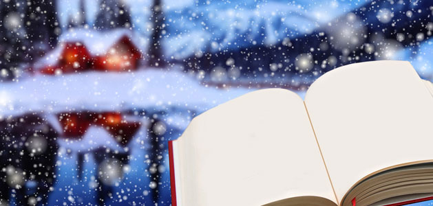 image of book in front of snow
