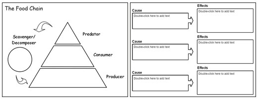 Depth, Complexity, and Graphic Organizers