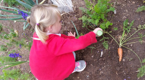 image of preschool child watering a garden plant