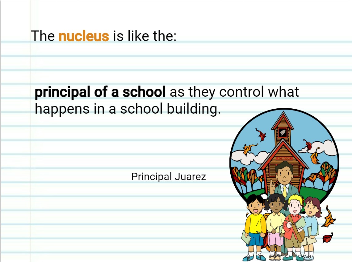 sample page of cell and school comparison