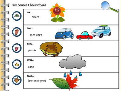 Weather 5 Senses Observation