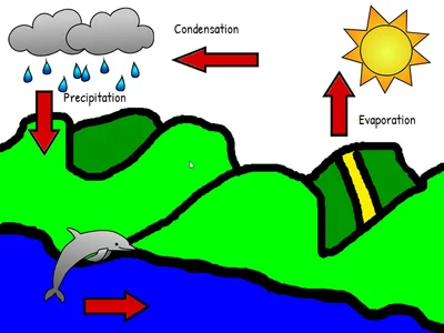Water Cycle