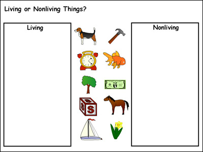 living science nonliving sort engage primary students example v02 articles